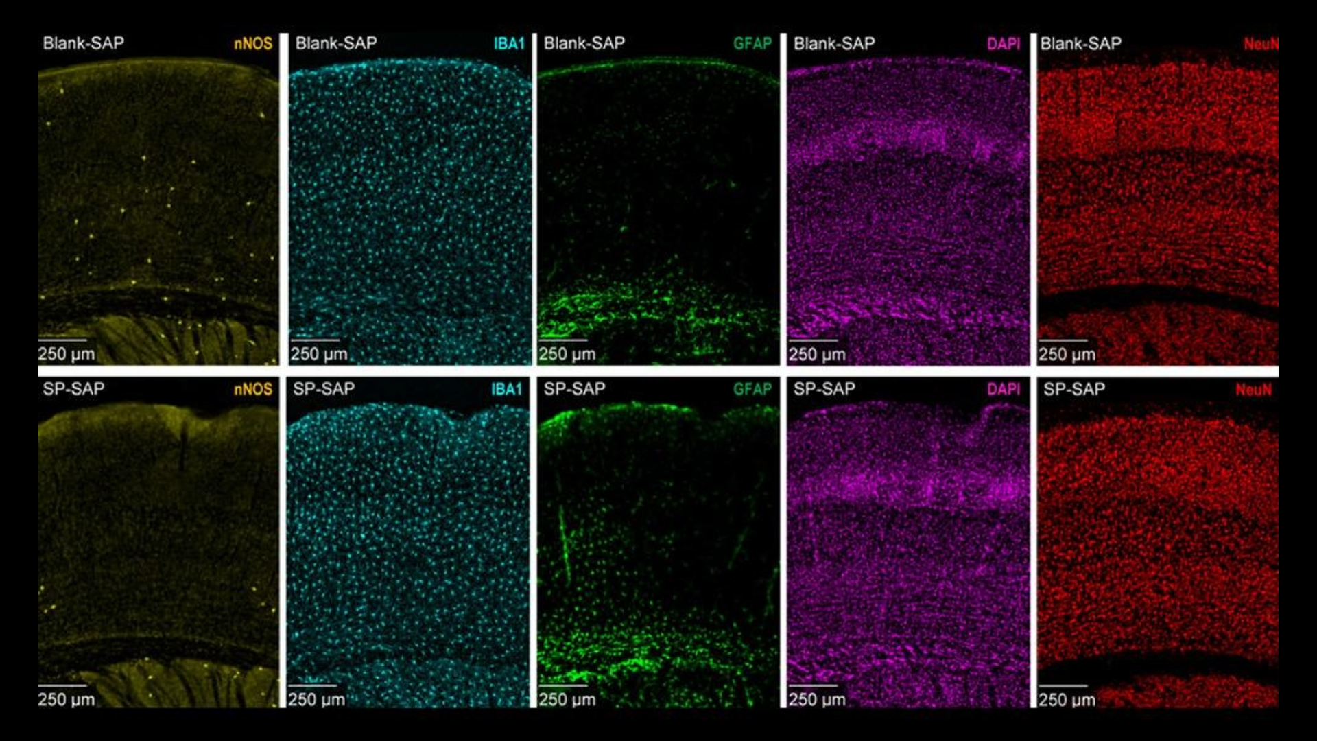 Season's Greetings from Huck Institutes!