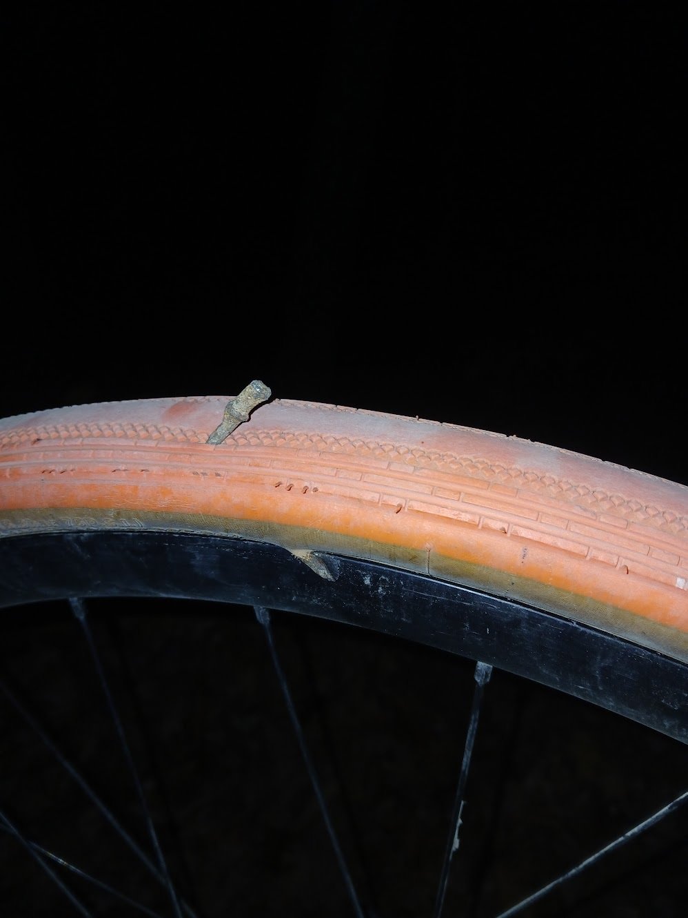 How A Routine Ride Home Turned into an Unexpected Adventure