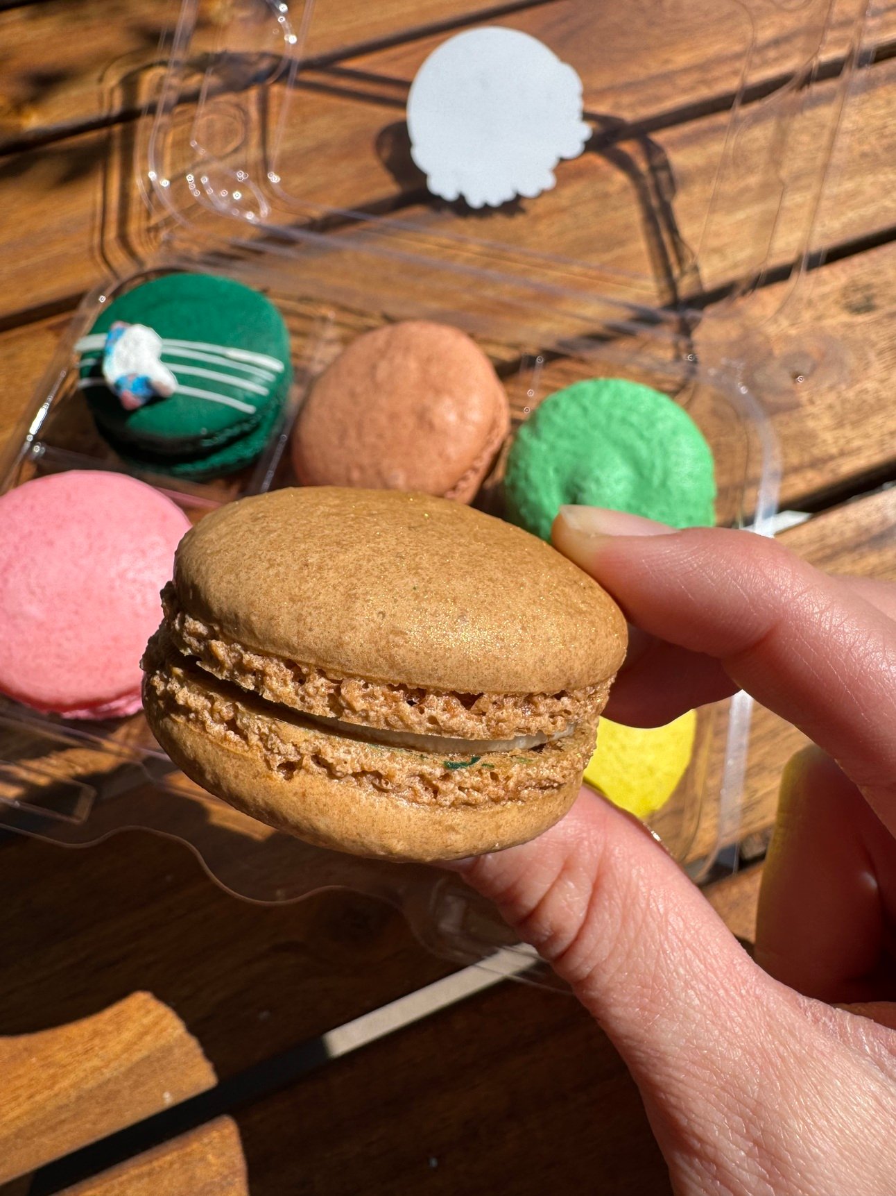 🌴 Charleston Mac Mama