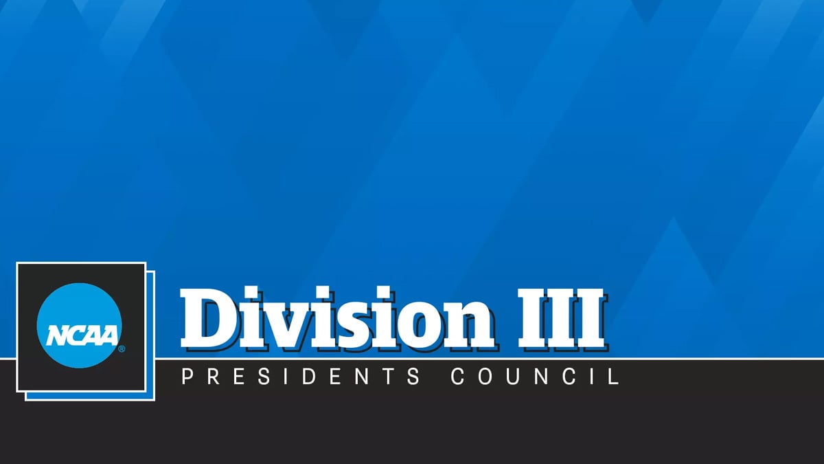 Feedback on the Future of DIII