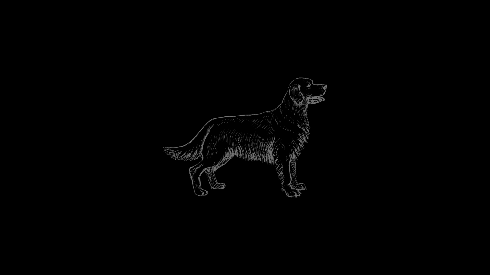 when does the dog stop chasing the car? 
