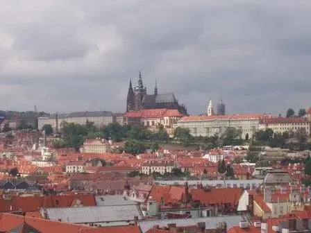 Before Apps Did the Thinking for Us