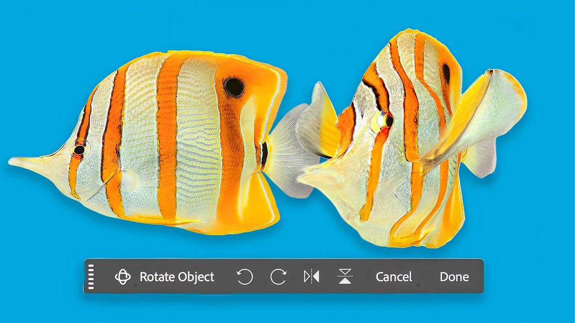 Photoshop releases "Rotate Object"