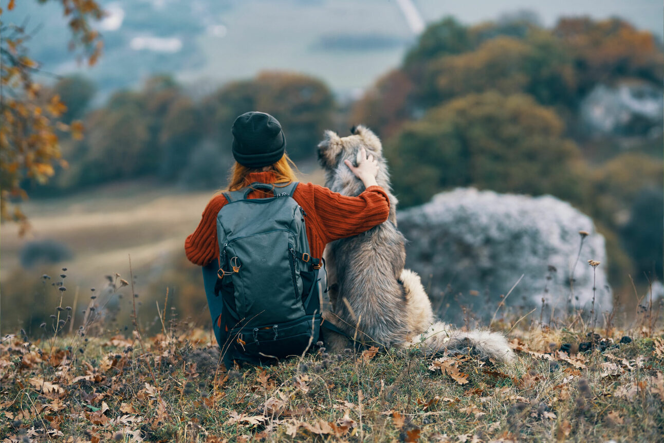 We’ve Demystified The New Deadly Dog Flu With The Pros