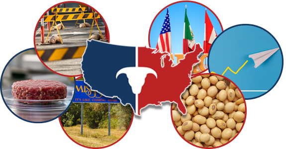 CATTLEUSA DRIVE - Friday, February 6th