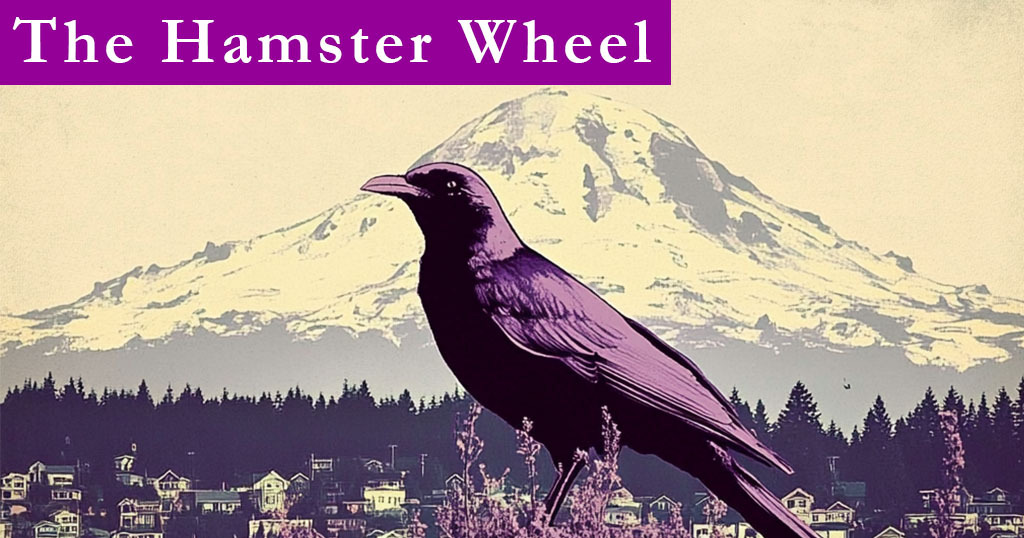 🐹 Rehab For Aves 🦅🦅