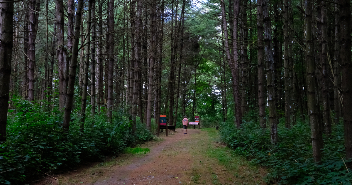 History in the Woods: W.E.B. Du Bois’s Great Barrington Roots