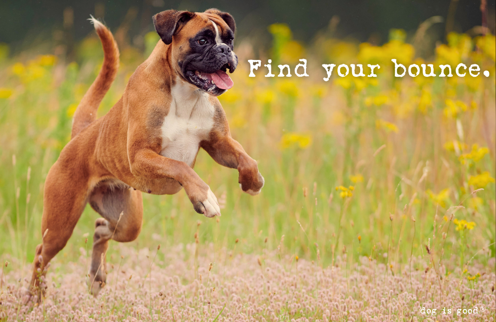 Find Your Bounce. 