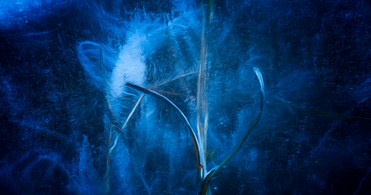 Breathing Light Issue #74 