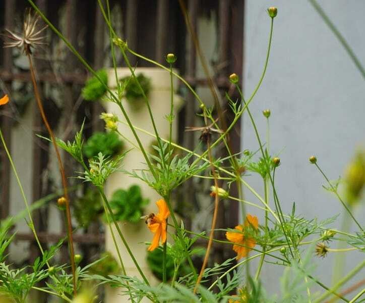 From the Desk Recommends... A Lot of Listening 🎧