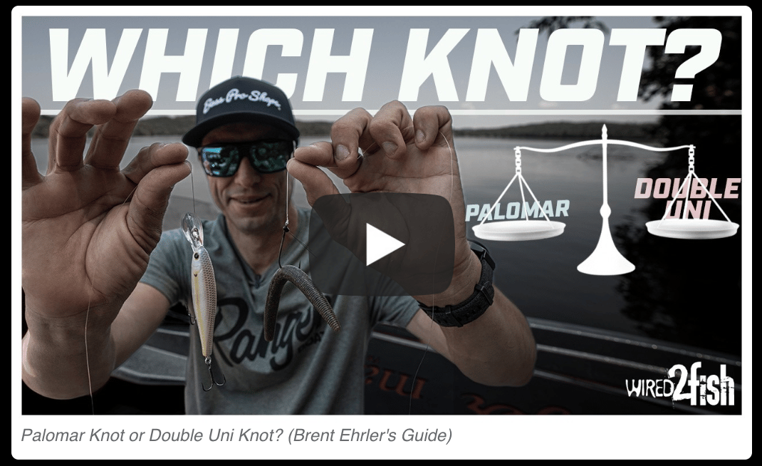 🔥 NEW Videos From Wired2fish 🔥 