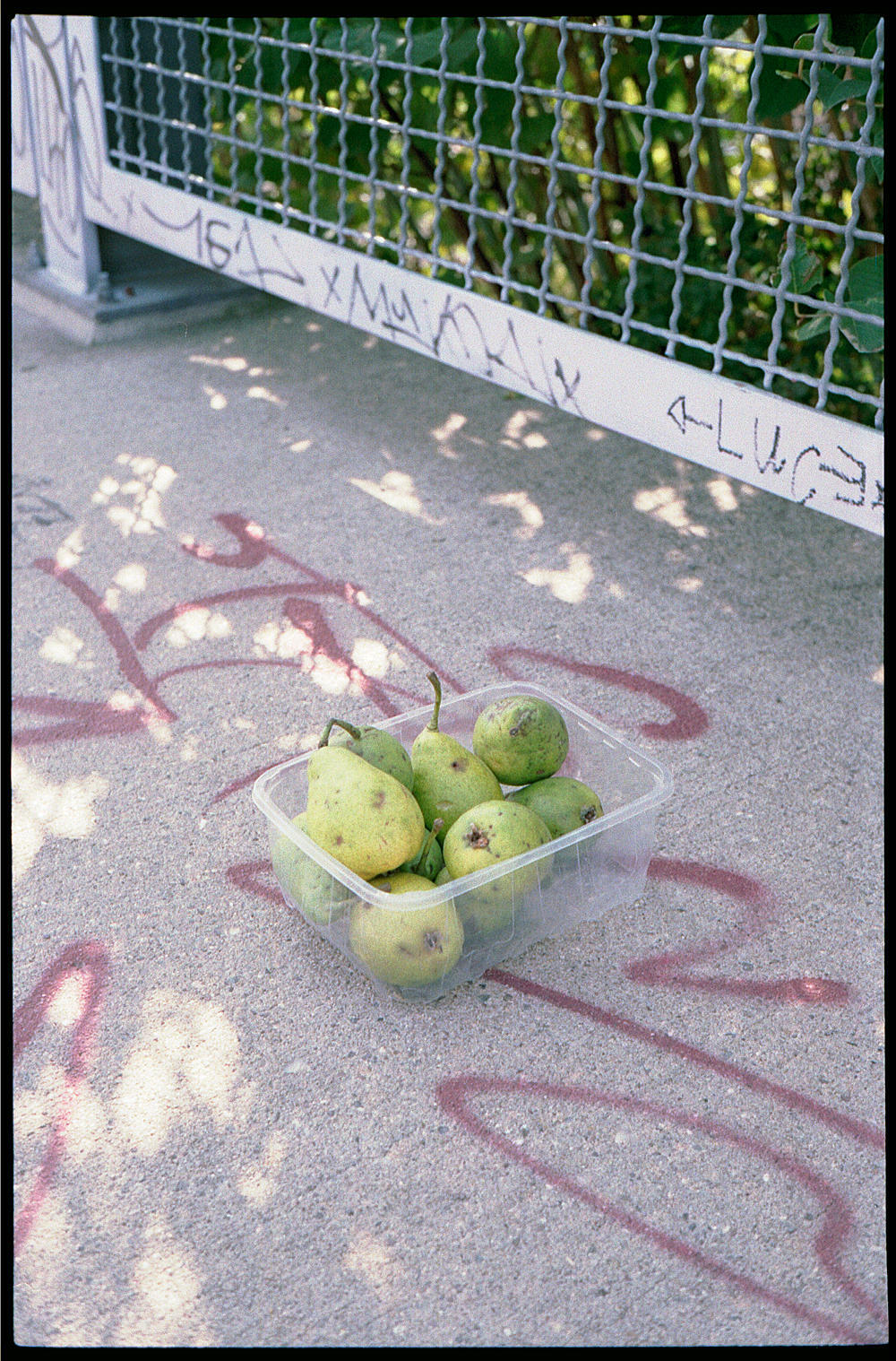 KOKO#5 Schnappschuss auf der Eisi