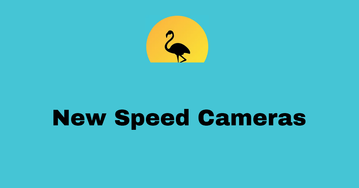 Cosmic Pineapple's Mystical Return & More!