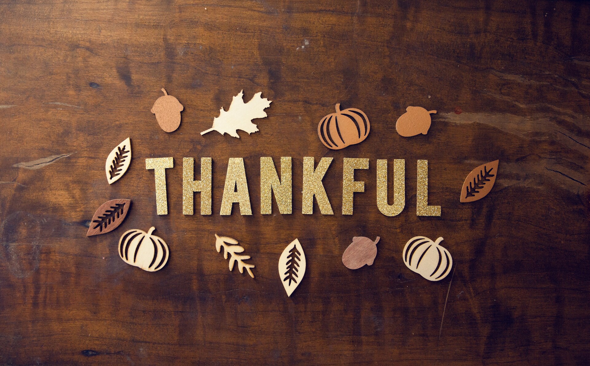 Gratitude tops the menu this Thanksgiving