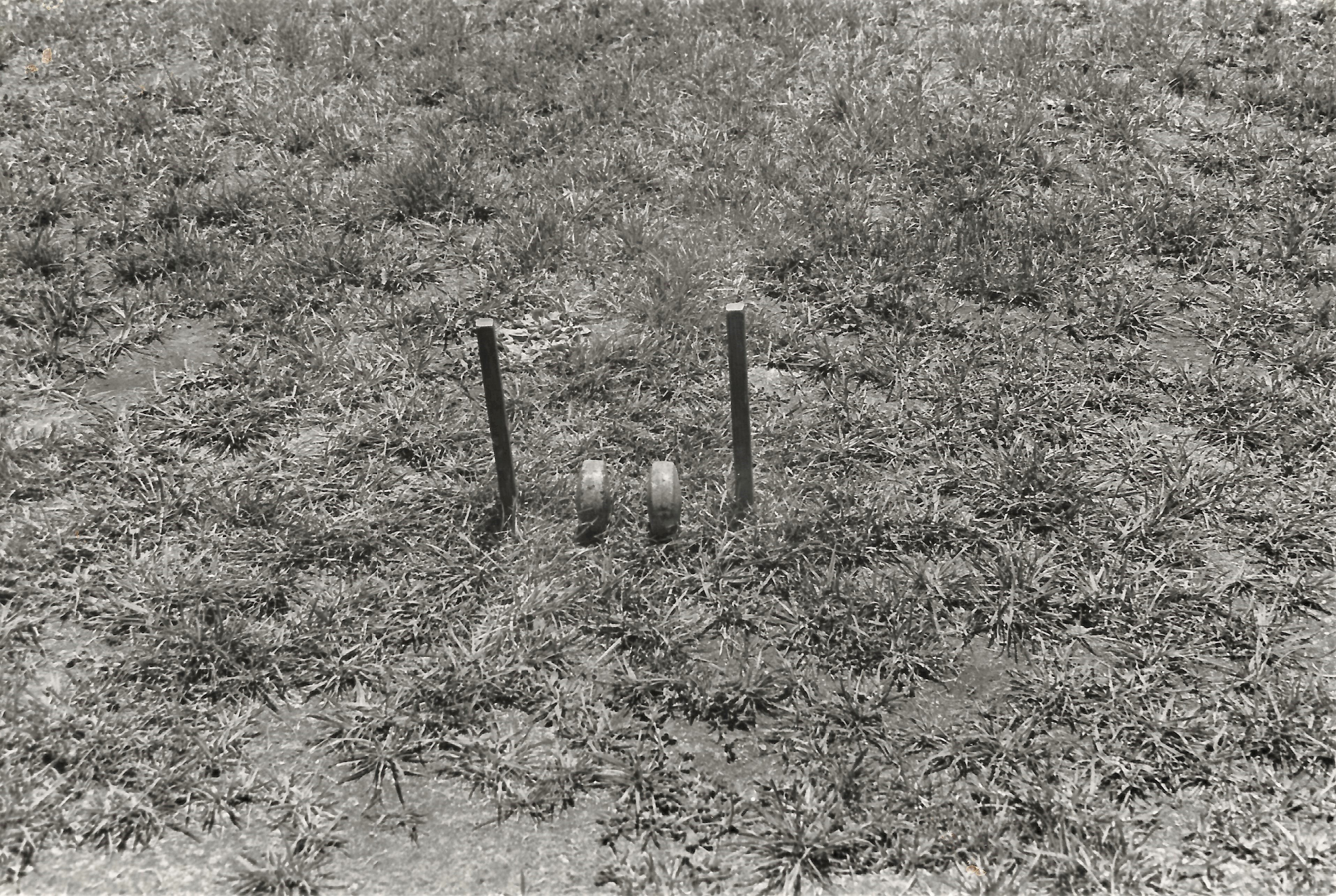 'Ulu Maika: Issue No. 1