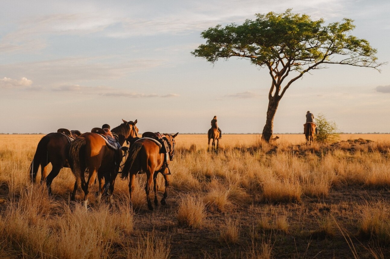 Africa in Brief - January 31, 2025