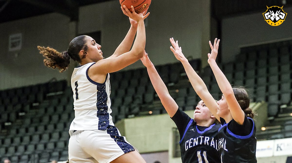 Division 3 Girls Basketball Playoff Preview