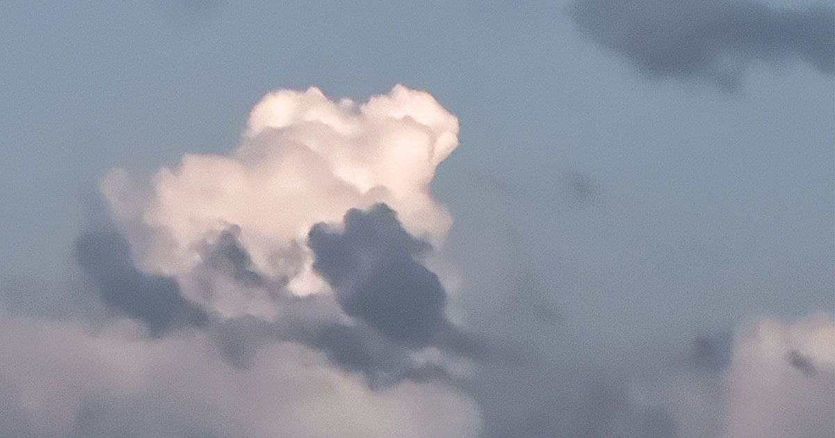 Week 8: Head in the Clouds 