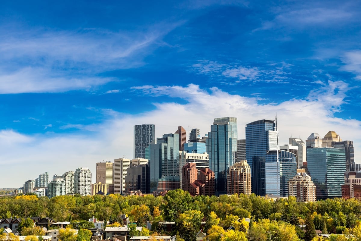 Get your green thumbs ready: “Poplar” program giving away free trees to residents