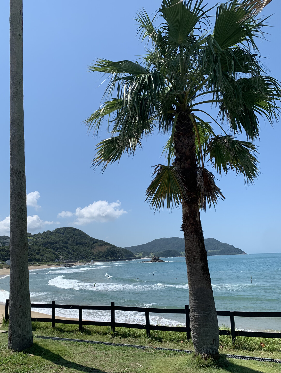 Smart Investing Journey