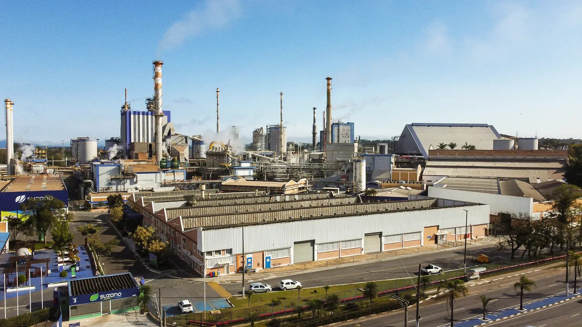 Suzano e Klabin: a vida além da celulose