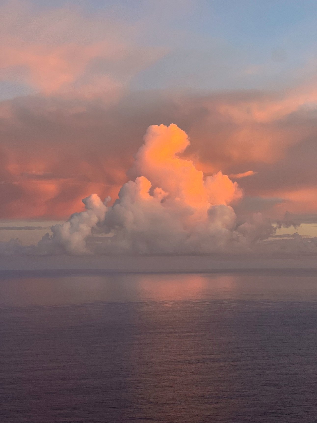 Celebrate Connection