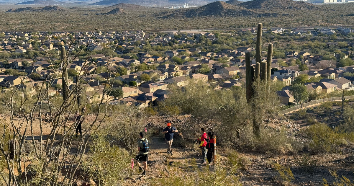 Chaos at East Wing Mountain