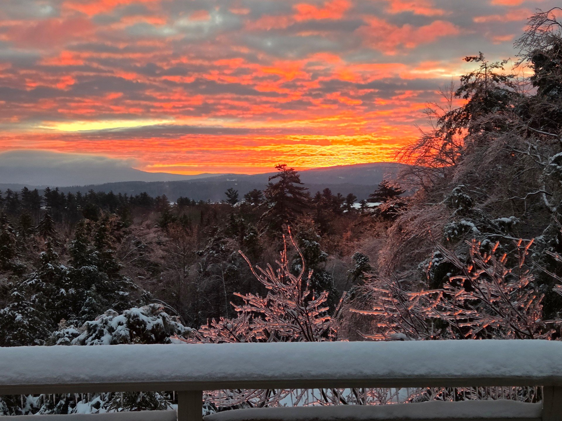 Dear Daybreak 1/15/26