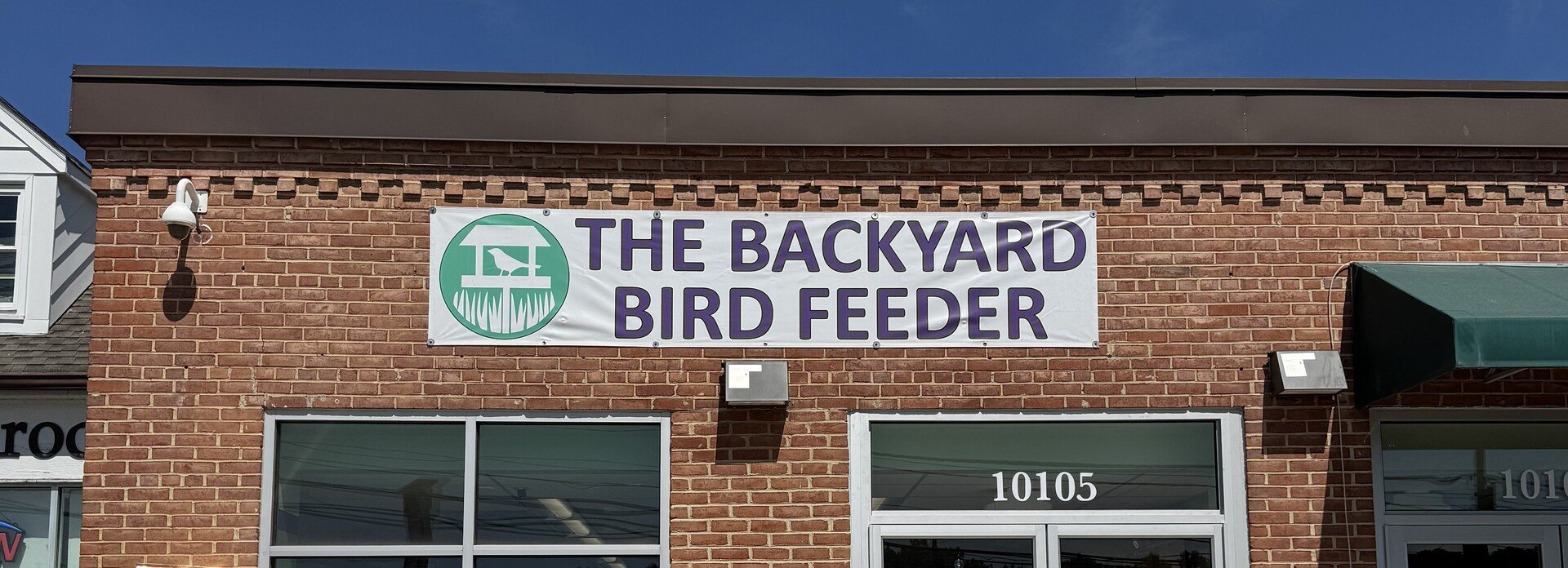 The Birds Are Back In Town: Your Complete Guide to The Backyard Bird Feeder's Grand Return to Potomac Village 