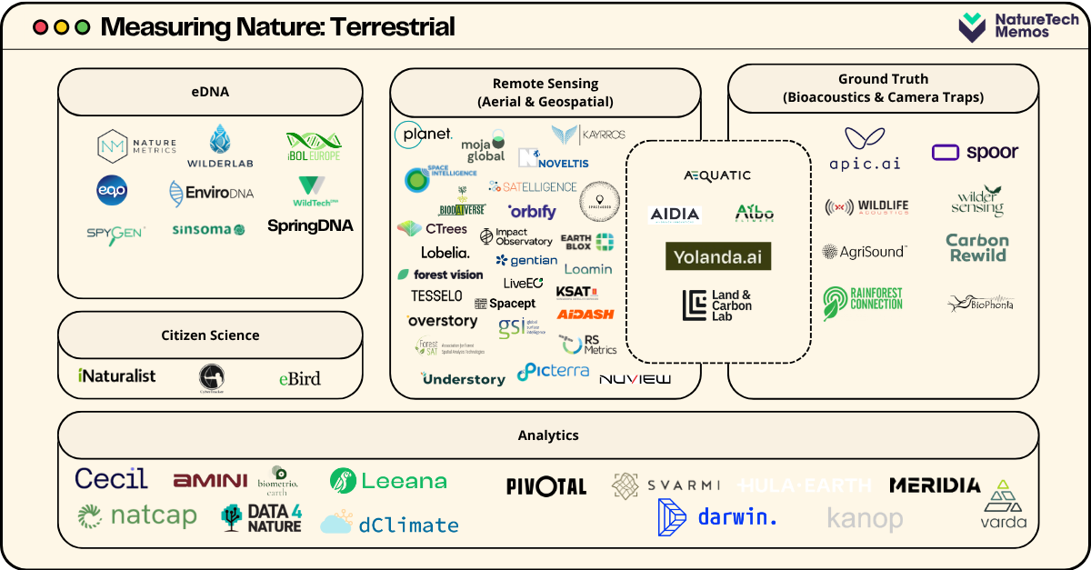 Top 10 MRV Startups Revolutionizing Nature-Based Solutions in 2025