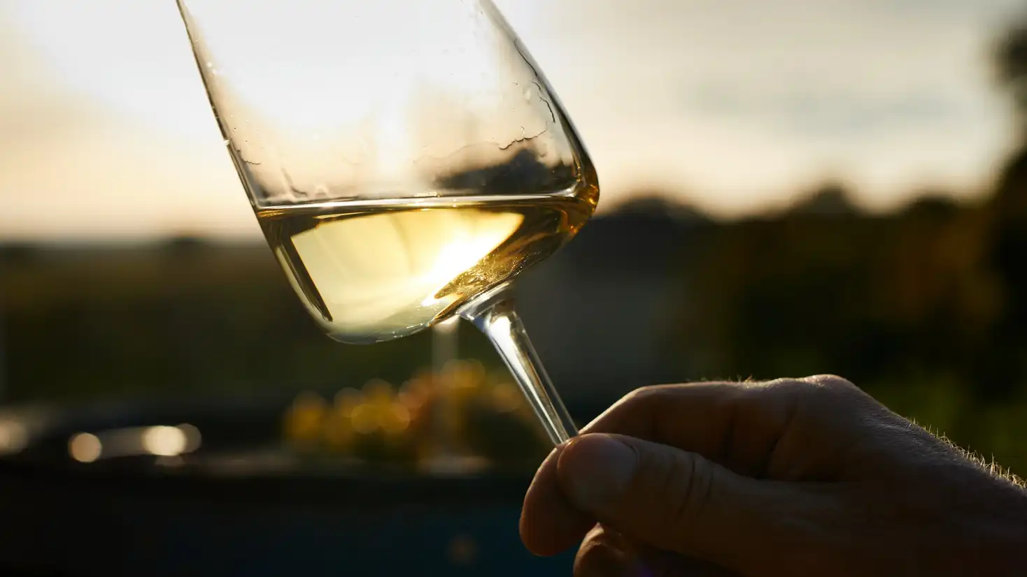 The World's Best Wines, Two Words to Look For on CA Wine, Guilty Pleasures and Wine, and much more...