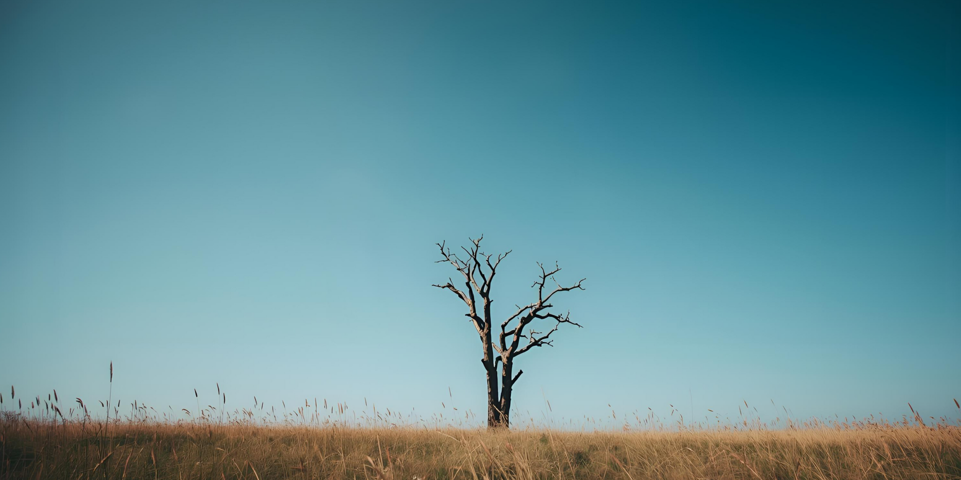 Bias is closing doors you don't even see