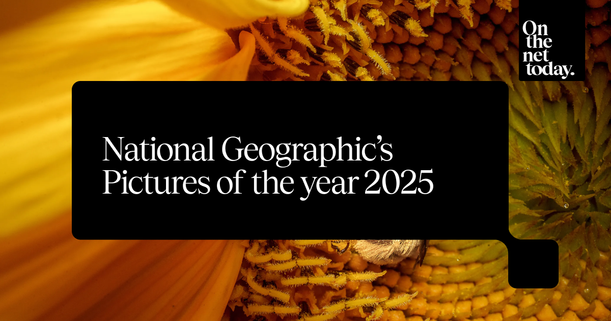 📷 Enjoy the Best Images of 2025 from National Geographic