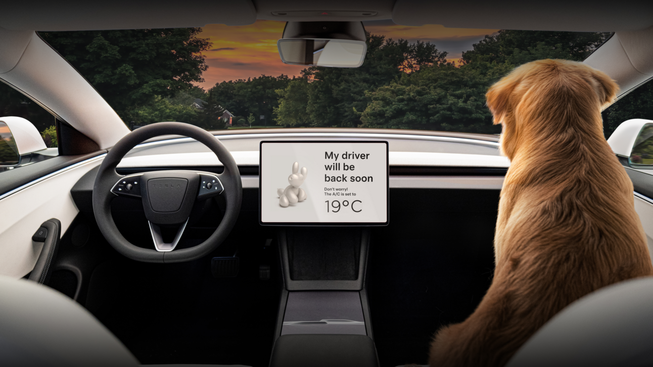 🚙 Tesla in trouble?