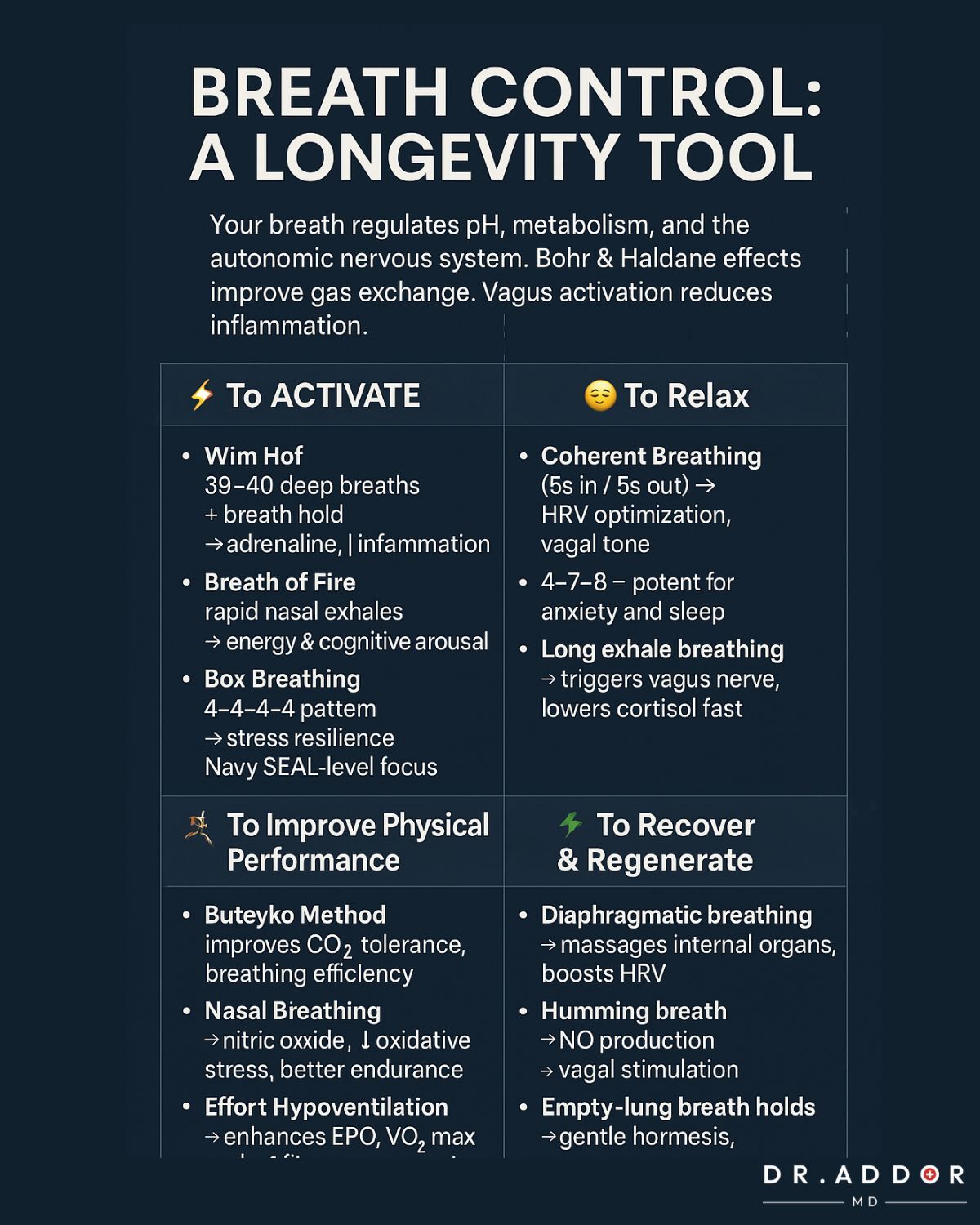 Comment votre respiration contrôle votre longévité : les mécanismes scientifiques derrière chaque inspiration