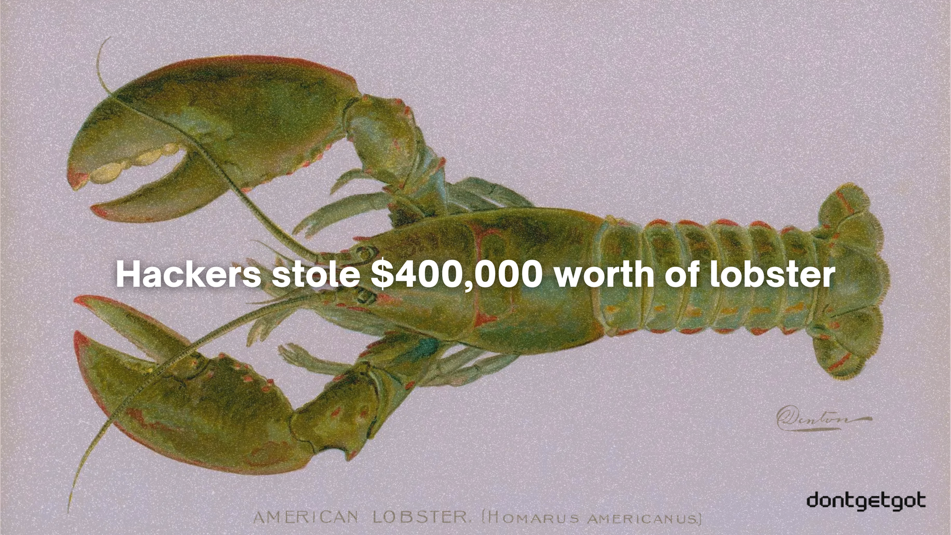 $400K worth of Lobster