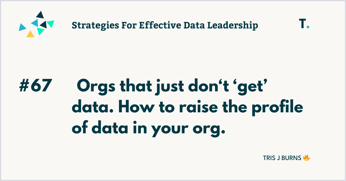 🪿Orgs that just don‘t ‘get’ data.