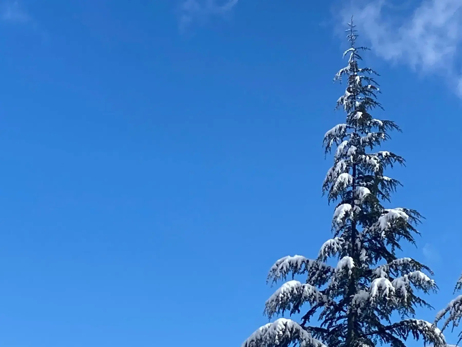 Aralık Ayı Ankara Etkinlikleri Rehberi