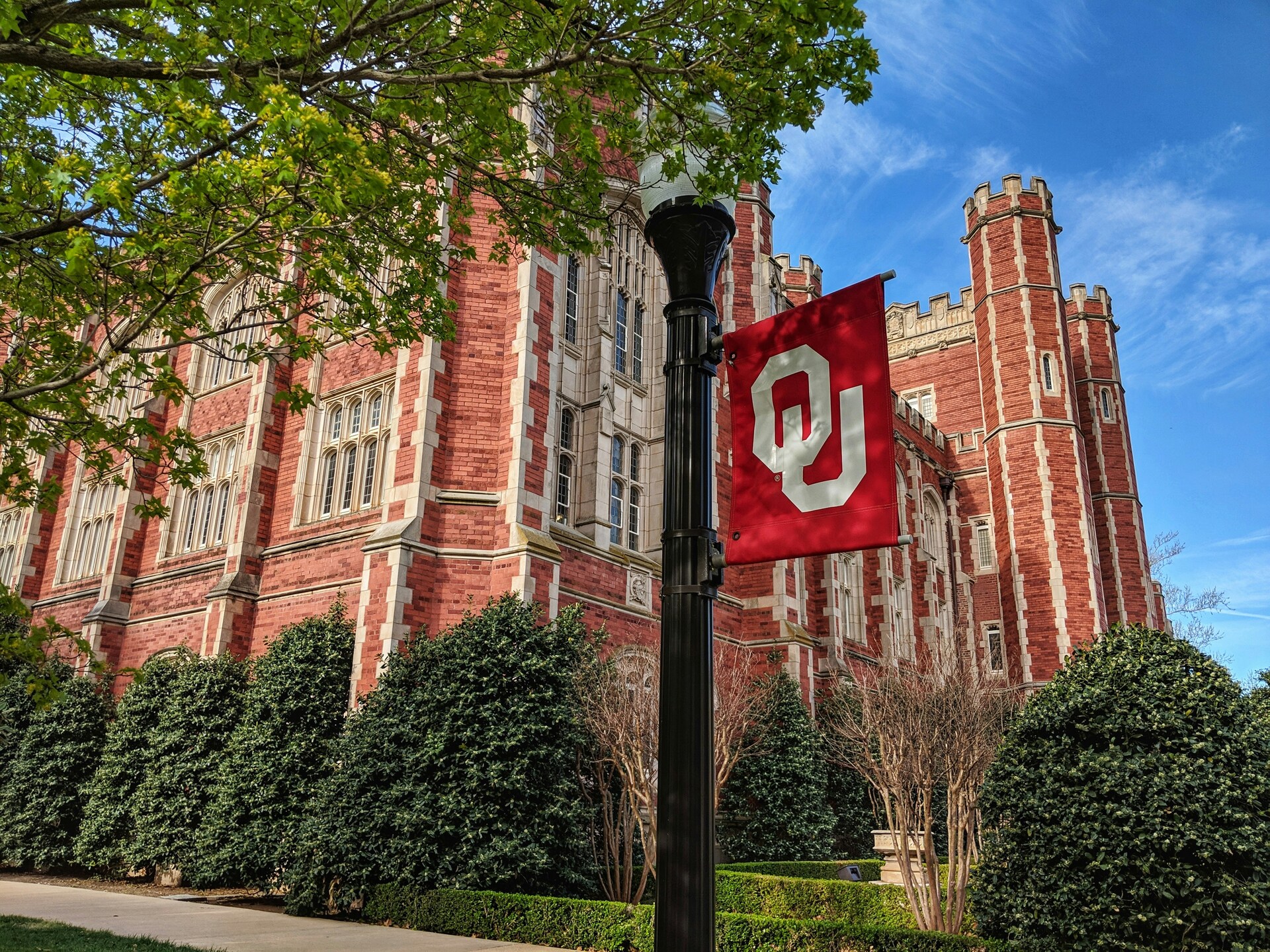 These 12 people will lead the search for the University of Oklahoma's next athletic director