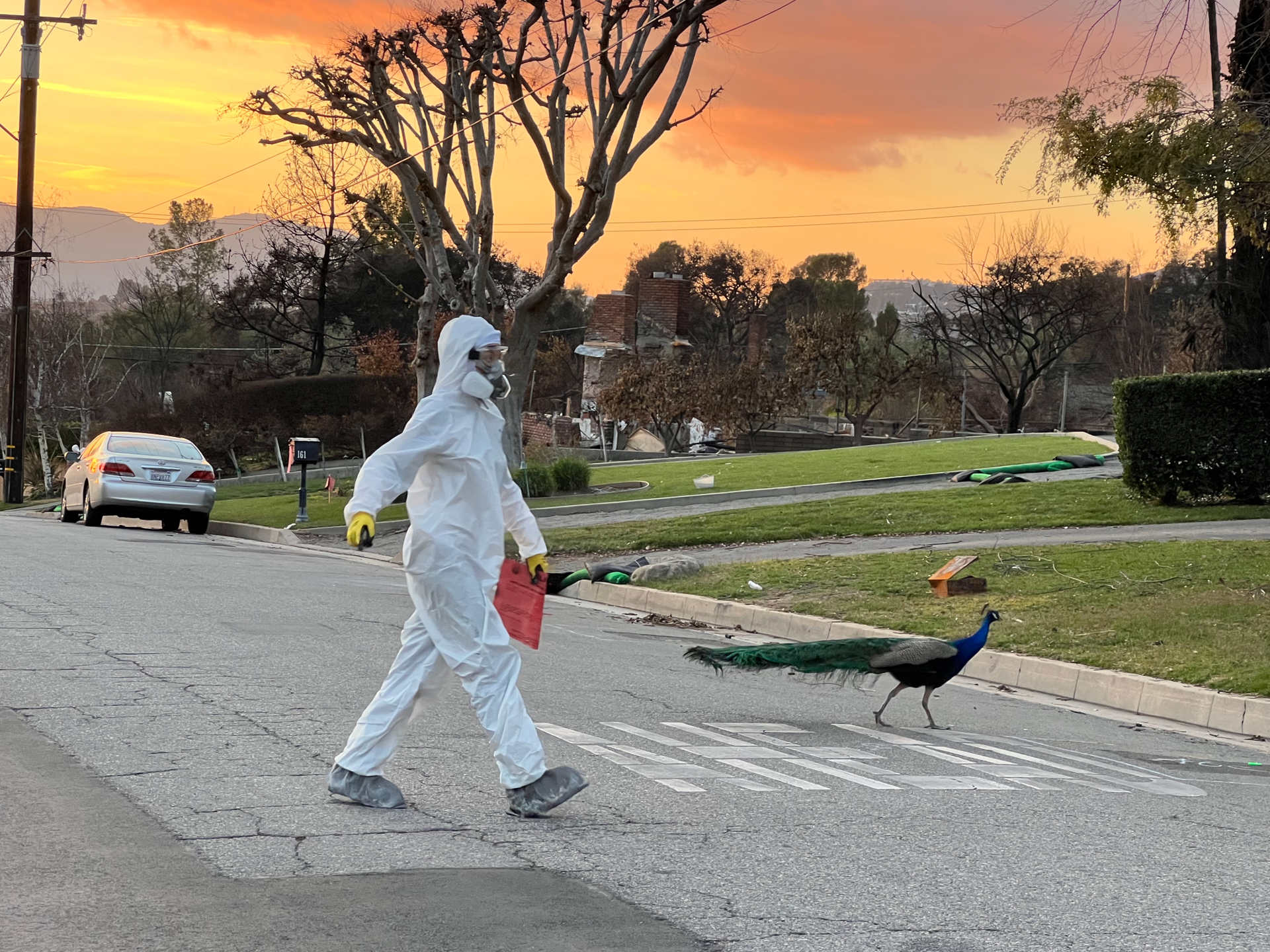 Lights, Camera, The Key West Film Festival is Almost Here!