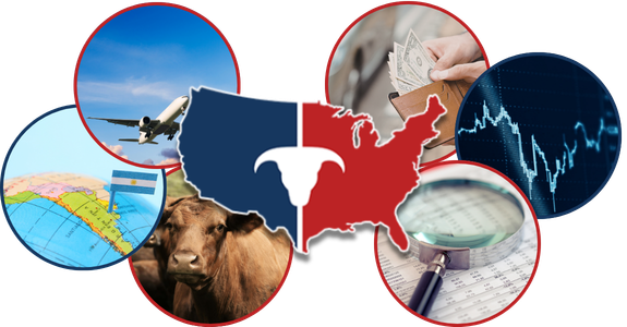 CATTLEUSA DRIVE - Tuesday, February 10th