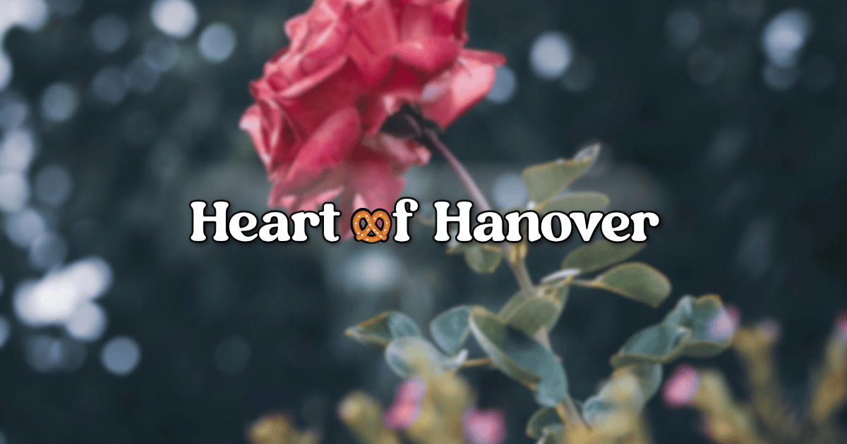 A Spring Reset (Without the Overwhelm)