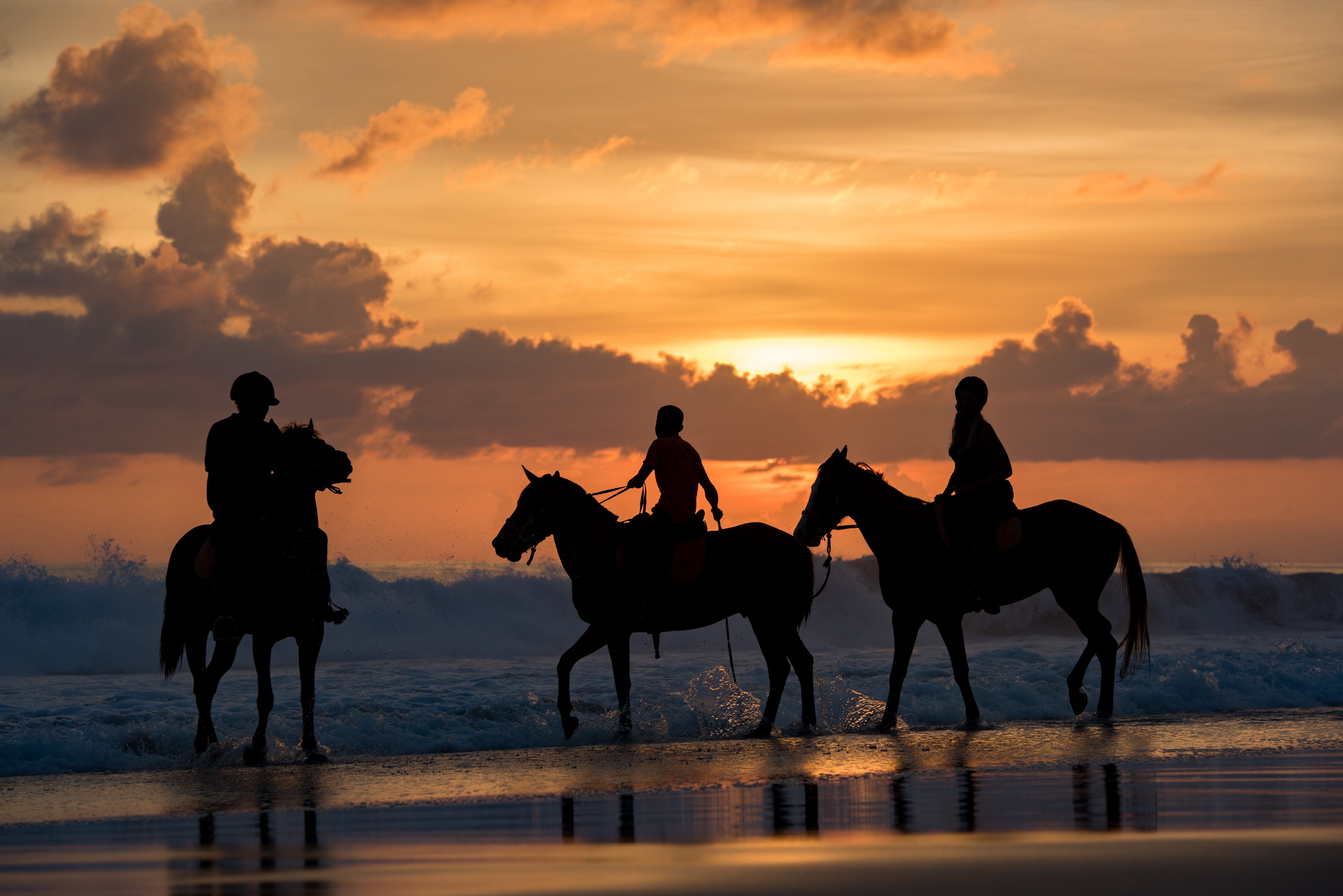 HAP Weekly: The Year of the Horse 🐎