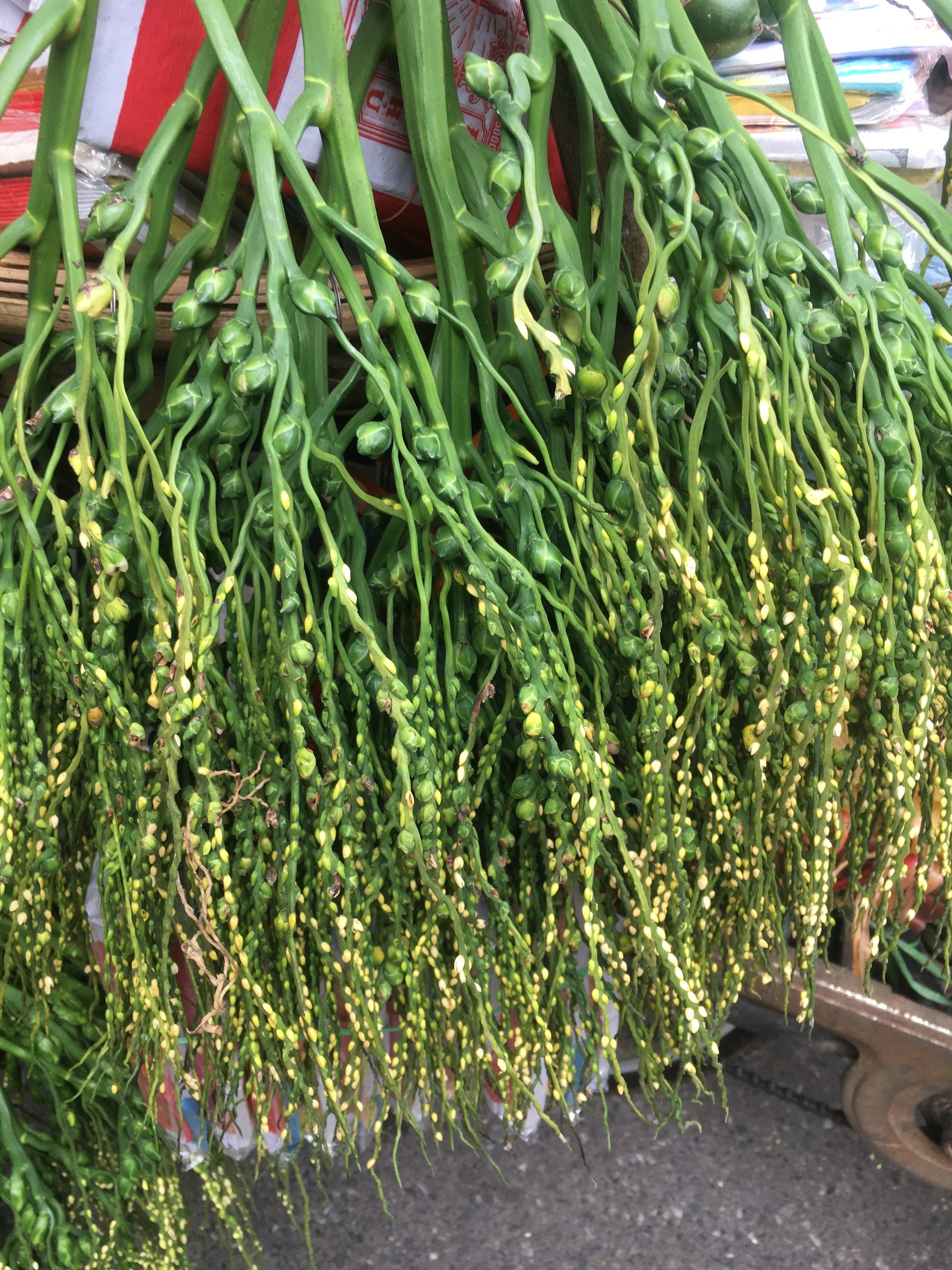 Hoài niệm về một khu phố