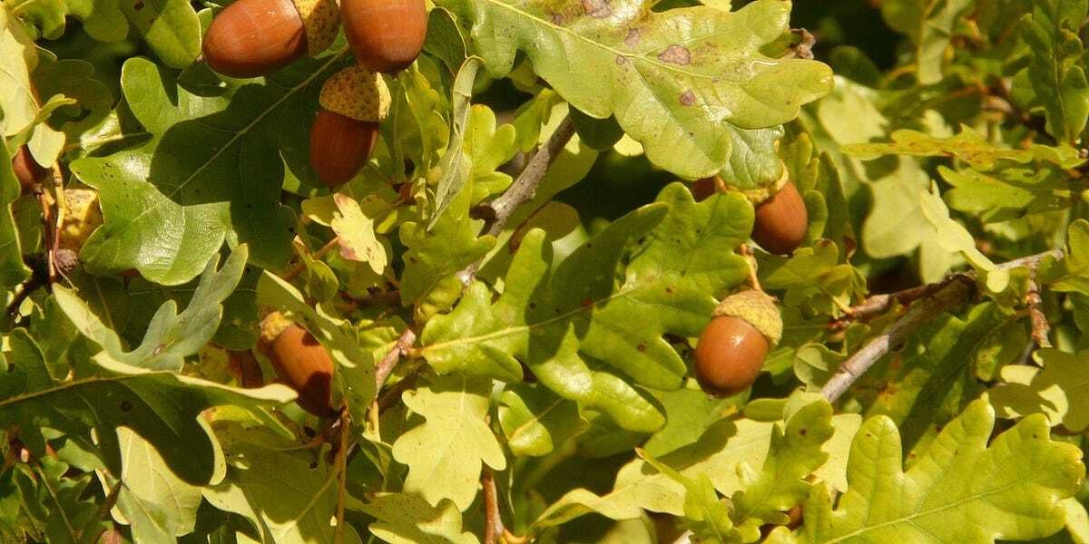 Friday, May 16, 2025