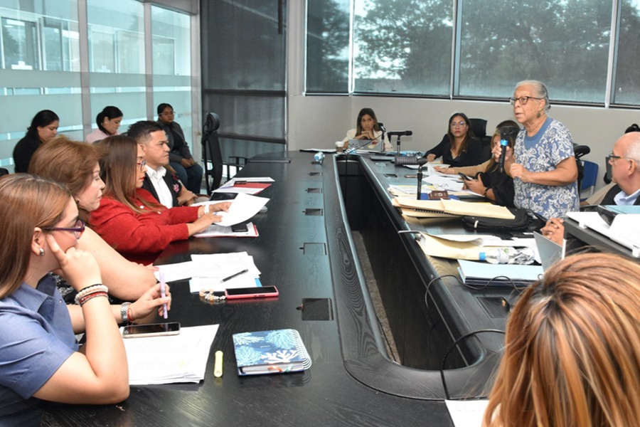 Nueva Ley 307 busca potenciar el negocio artesanal