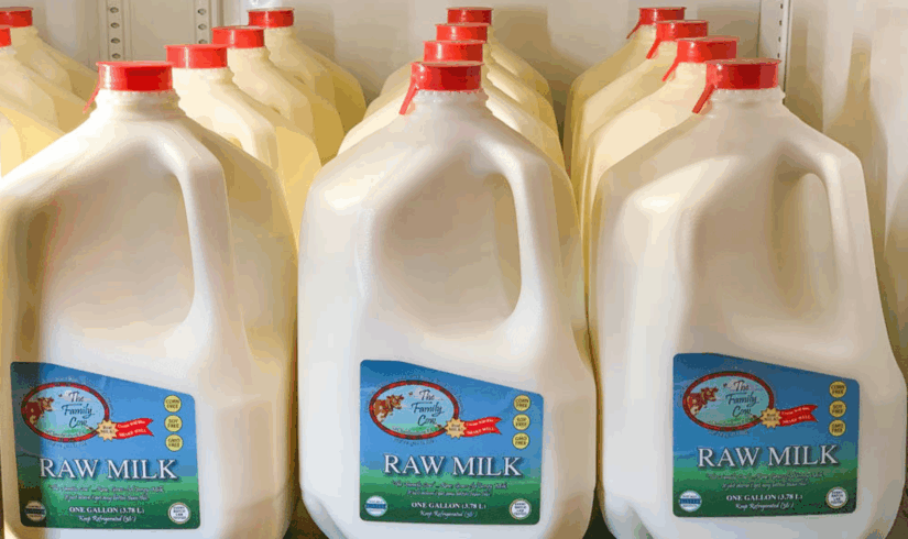 Raw milk outbreak; New Zealand's Campylobacter situation 