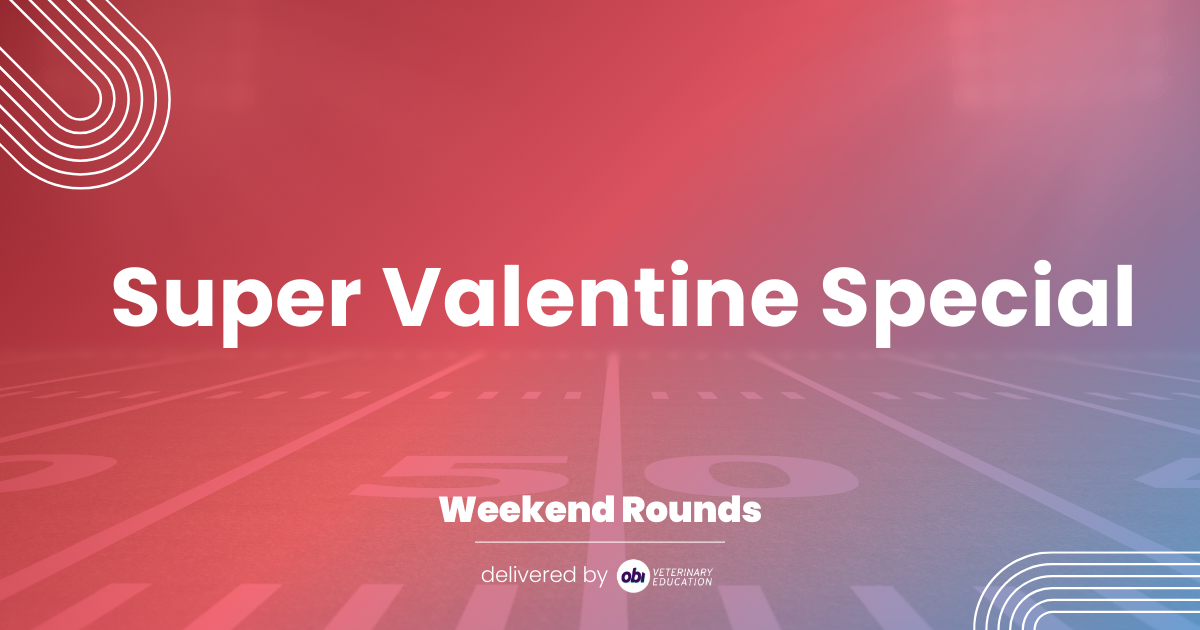 Super Valentine Special ❤️ 🏈