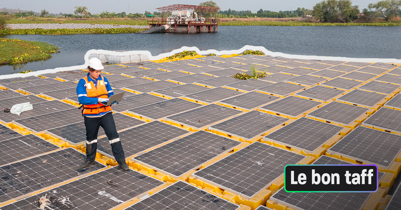 Chargé·e de sensibilisation, Business Developer... Découvrez nos offres d'emploi de la semaine