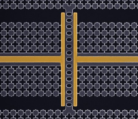 Noisy and warm? Protein qubits in Nature